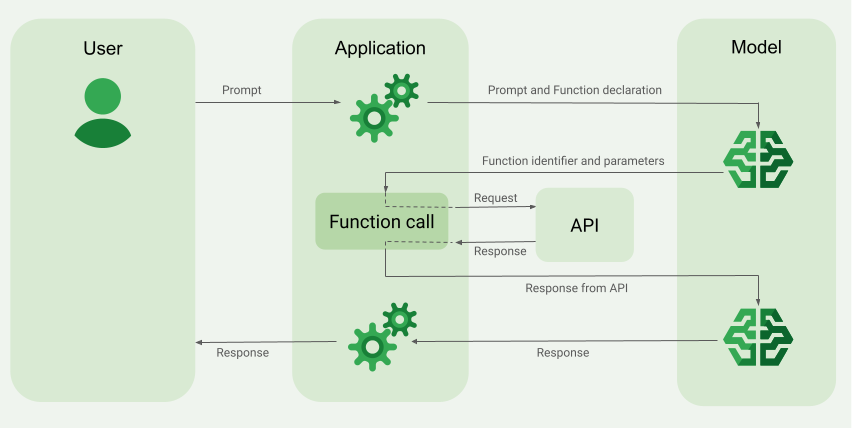 Function Calling Interaction